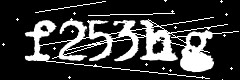 图形验证码