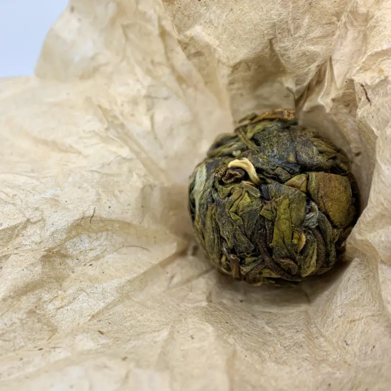 单株龙珠 勐库镇山头茶 百年古树龙珠