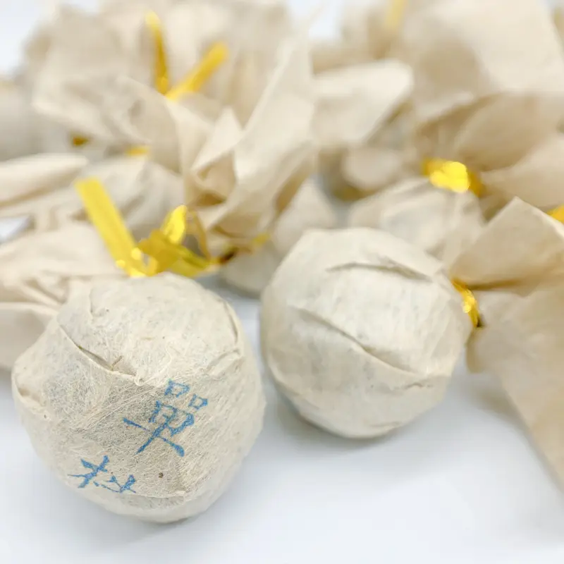 单株龙珠 勐库镇山头茶 百年古树龙珠