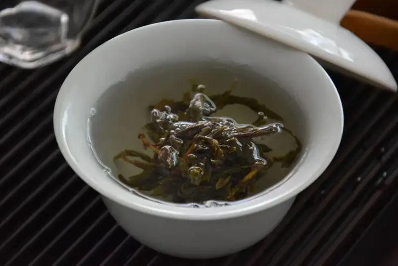 一片真正不施肥的茶园