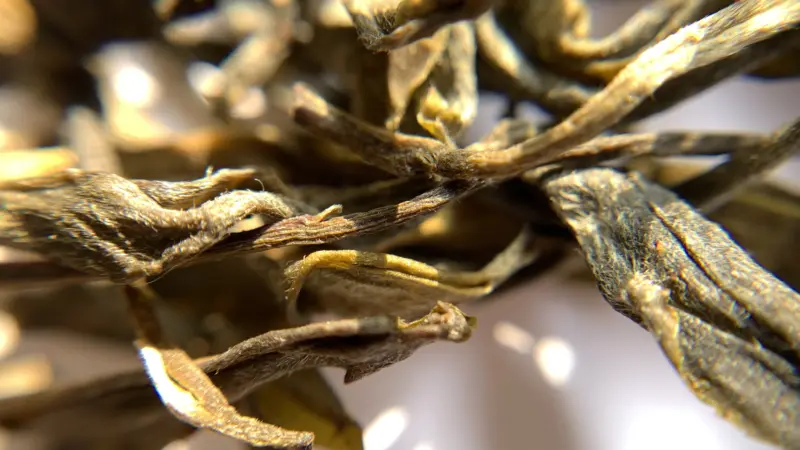 野味级别 高端散茶普洱