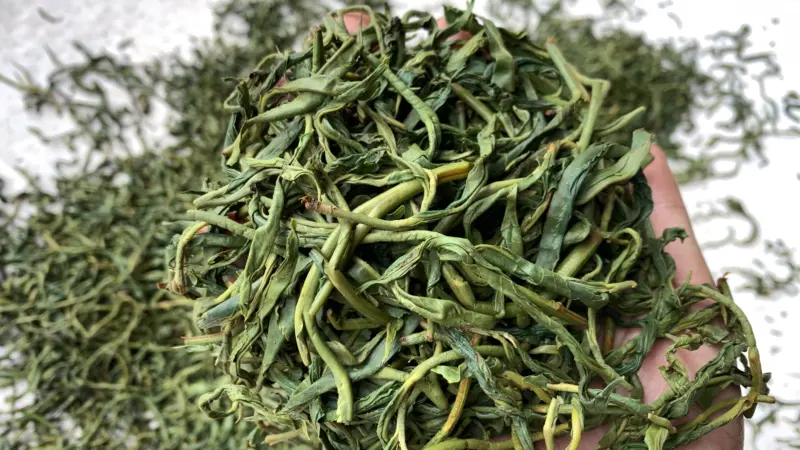 【免费茶样】豹子箐茶园2025春完美普洱茶