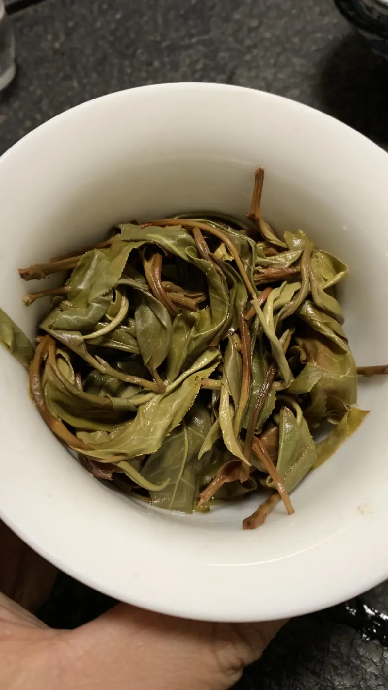 【免费茶样】豹子箐茶园2025春完美普洱茶