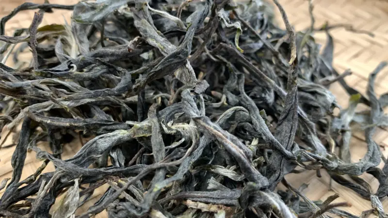 【免费茶样】豹子箐茶园2025春完美普洱茶