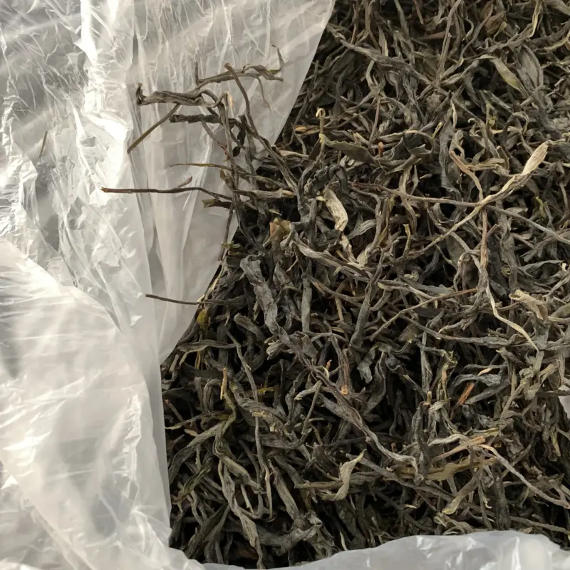 【免费茶样】良山2025年春全熟工艺普洱