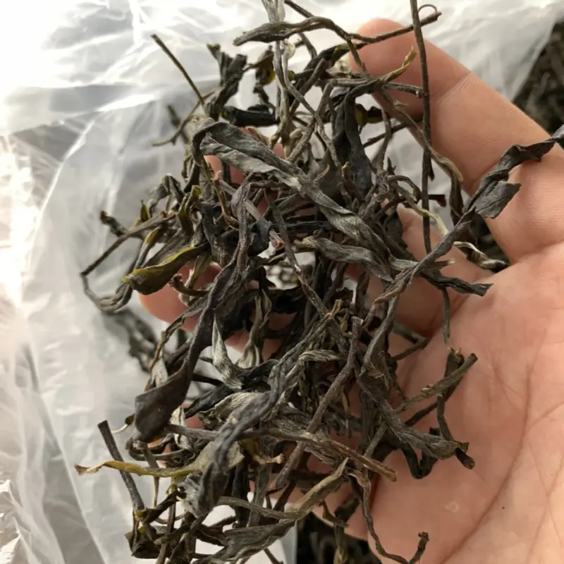 【免费茶样】良山2025年春全熟工艺普洱