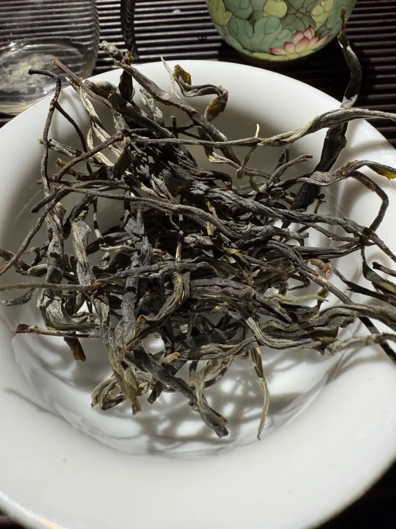 豹子箐古树单株