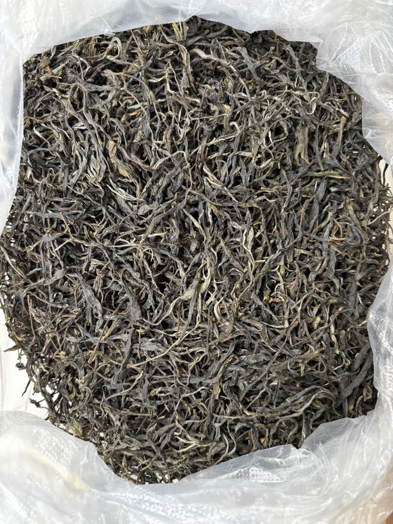 豹子箐古树单株脱肥18年普洱茶