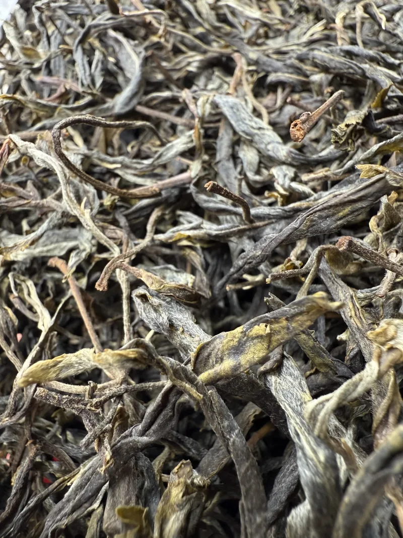 豹子箐古树单株脱肥18年普洱茶