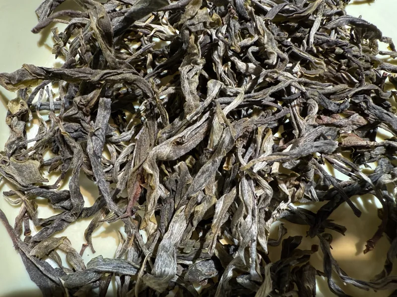 脱肥6年小窝托茶园高品质普洱茶