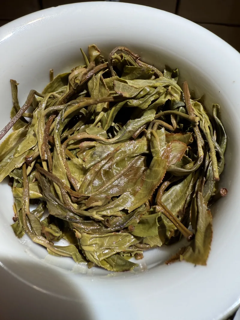 脱肥6年小窝托茶园高品质普洱茶