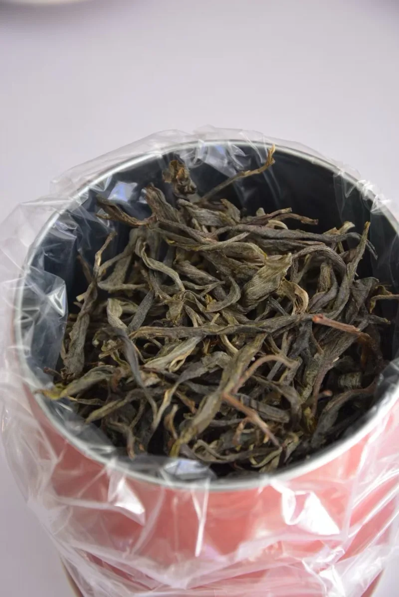 2025年春坝歪大树挑采罐装