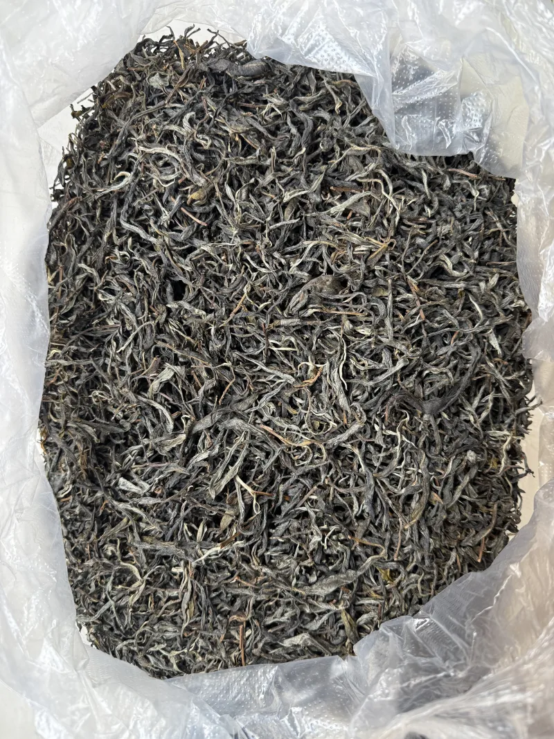 古树单株2025春xs01