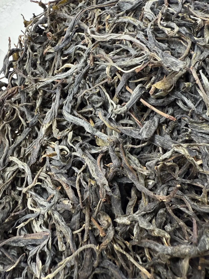 古树单株2025春xs01