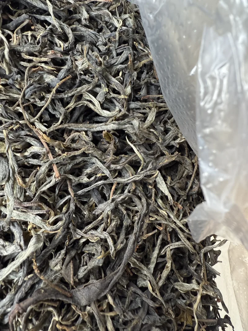 古树单株2025春xs01