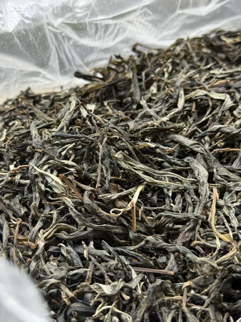 古树单株2025春xs01