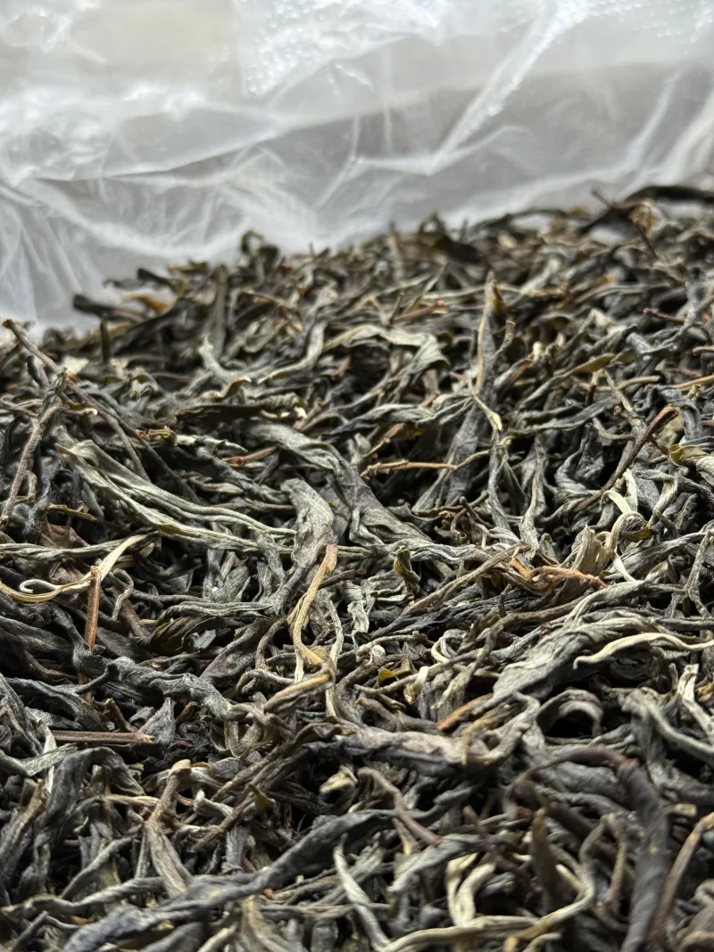 古树单株2025春xs01