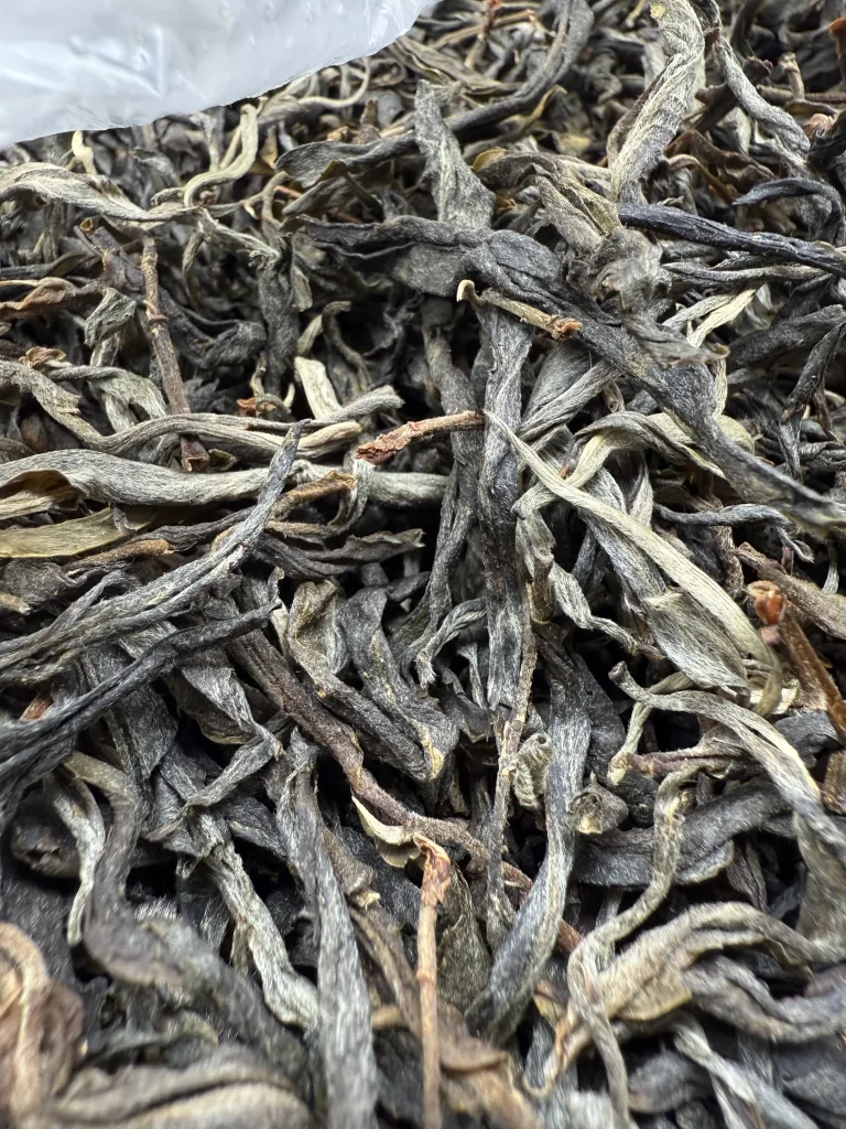 古树单株2025春xs01