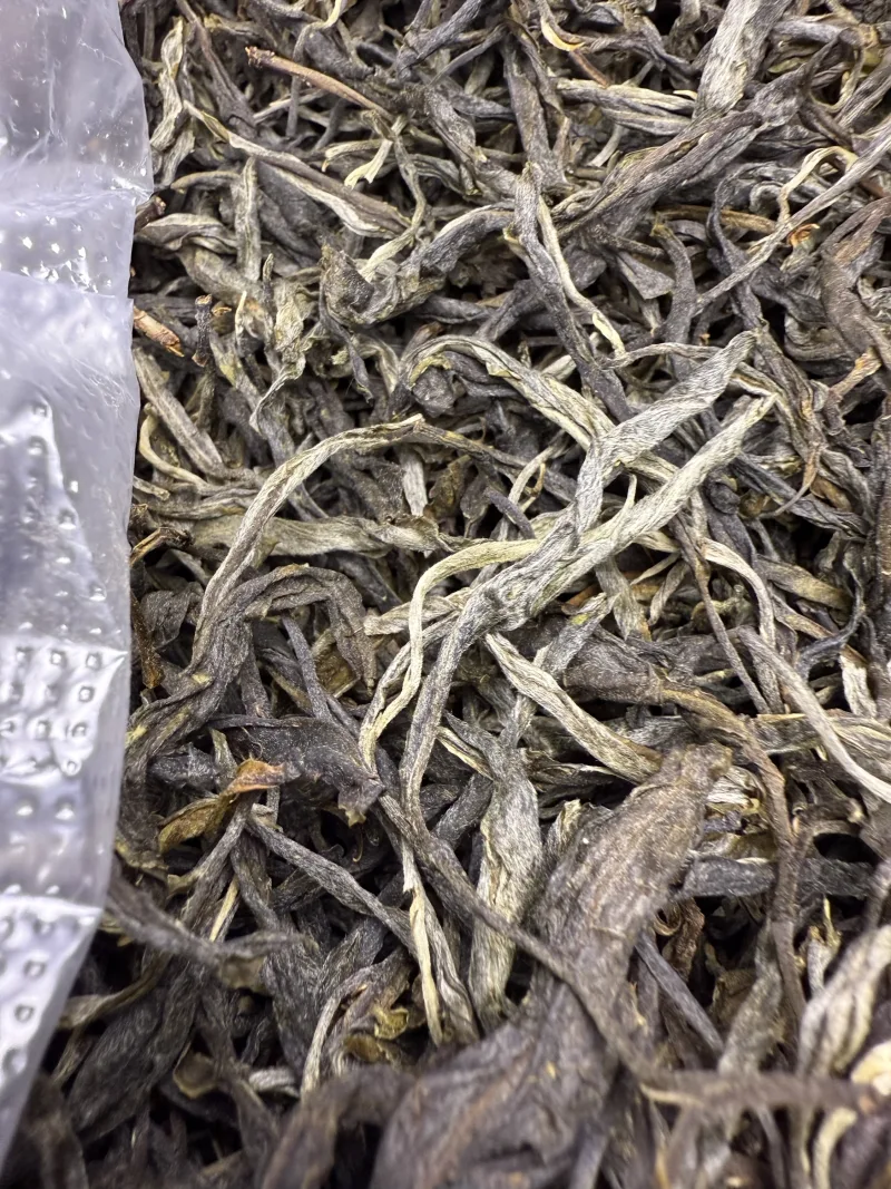 古树单株2025春xs02