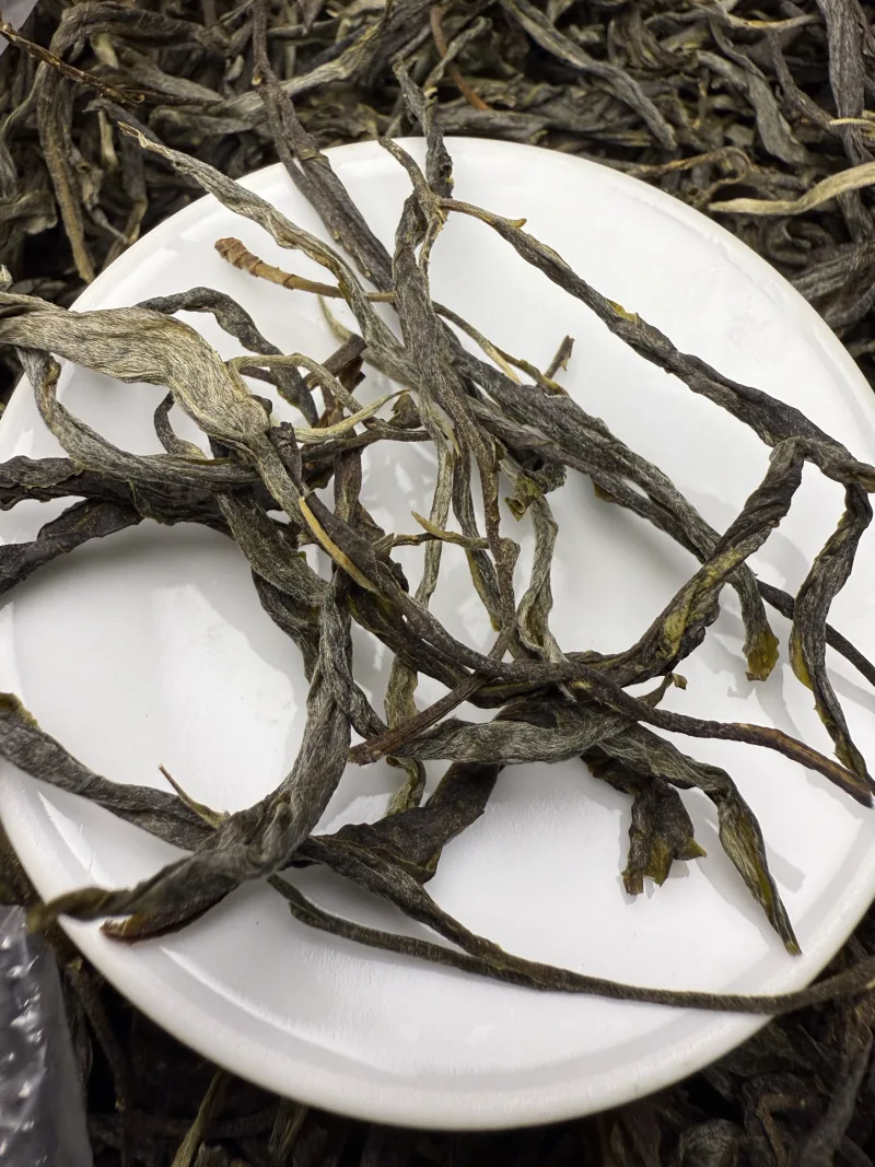 古树单株2025春xs02