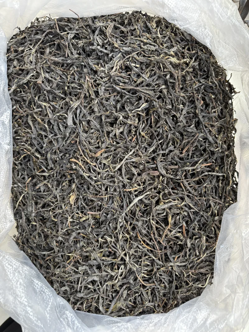 古树单株2025xs03