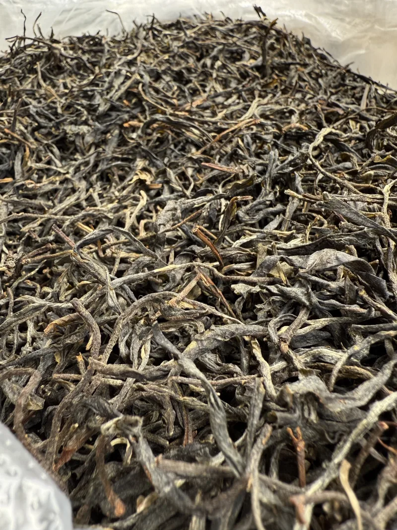 古树单株2025xs03