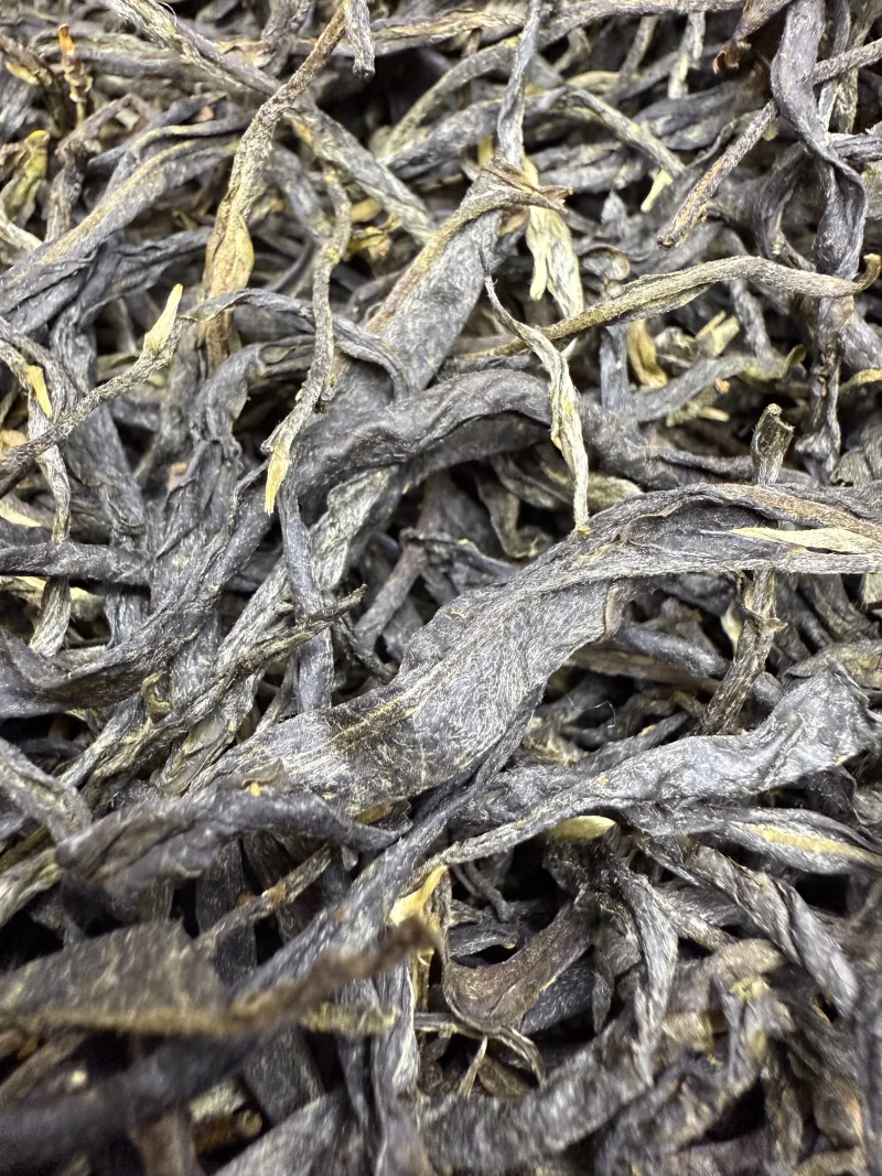 古树单株2025xs03