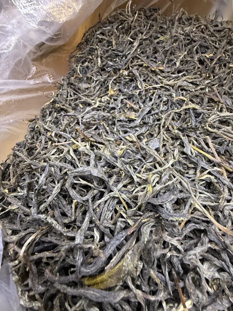 古树单株2025xs03