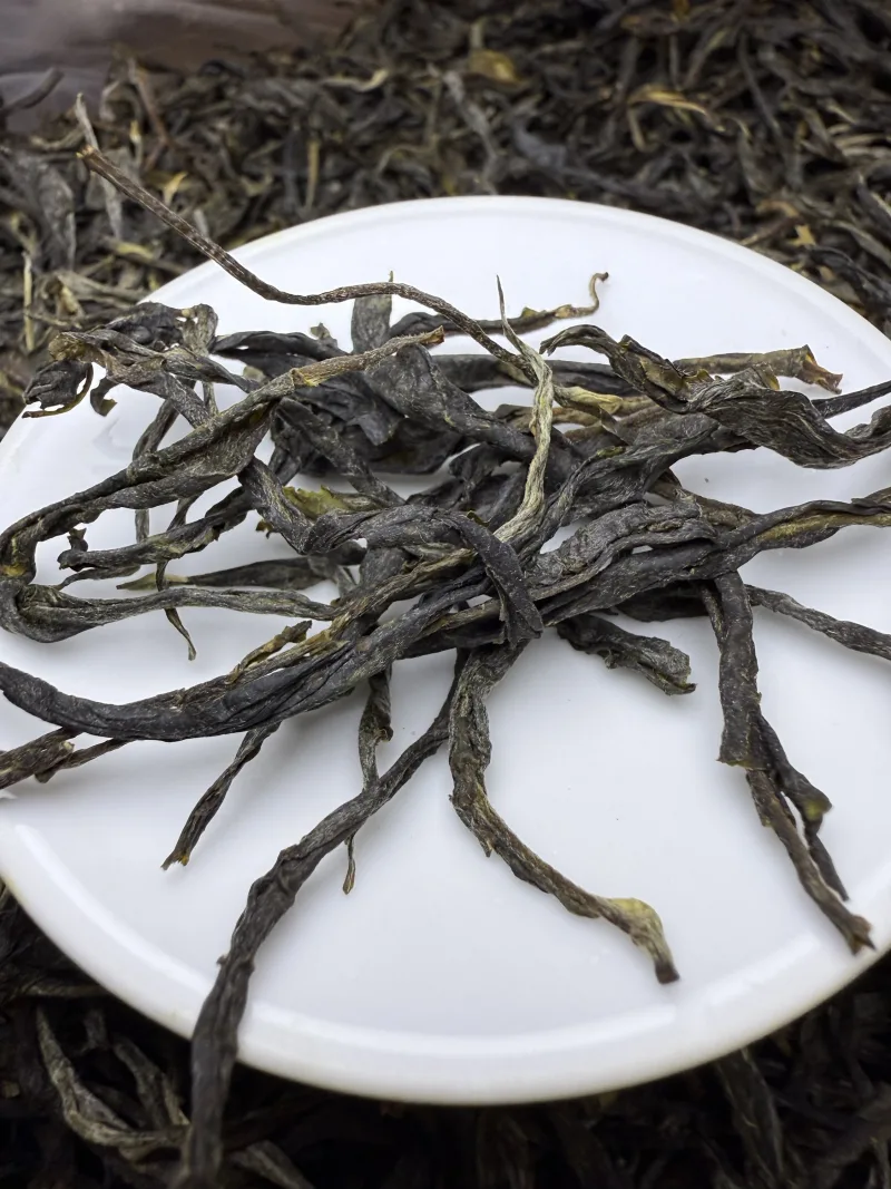 古树单株2025xs03