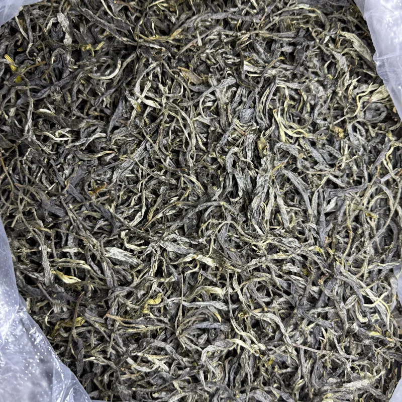 古树单株2025春xs04