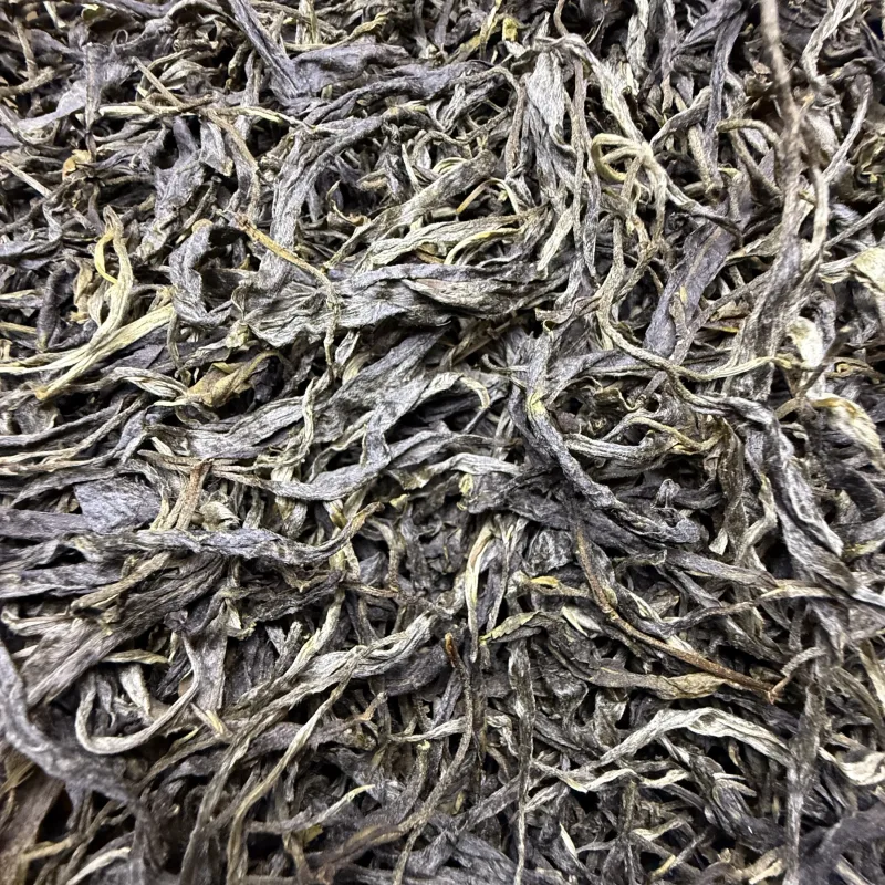 古树单株2025春xs04