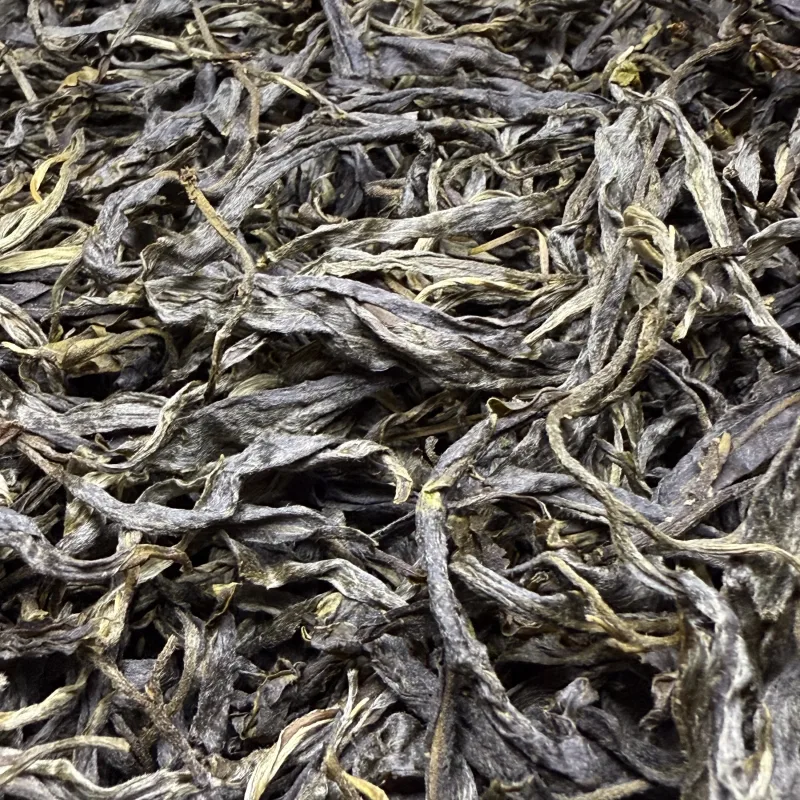 古树单株2025春xs04